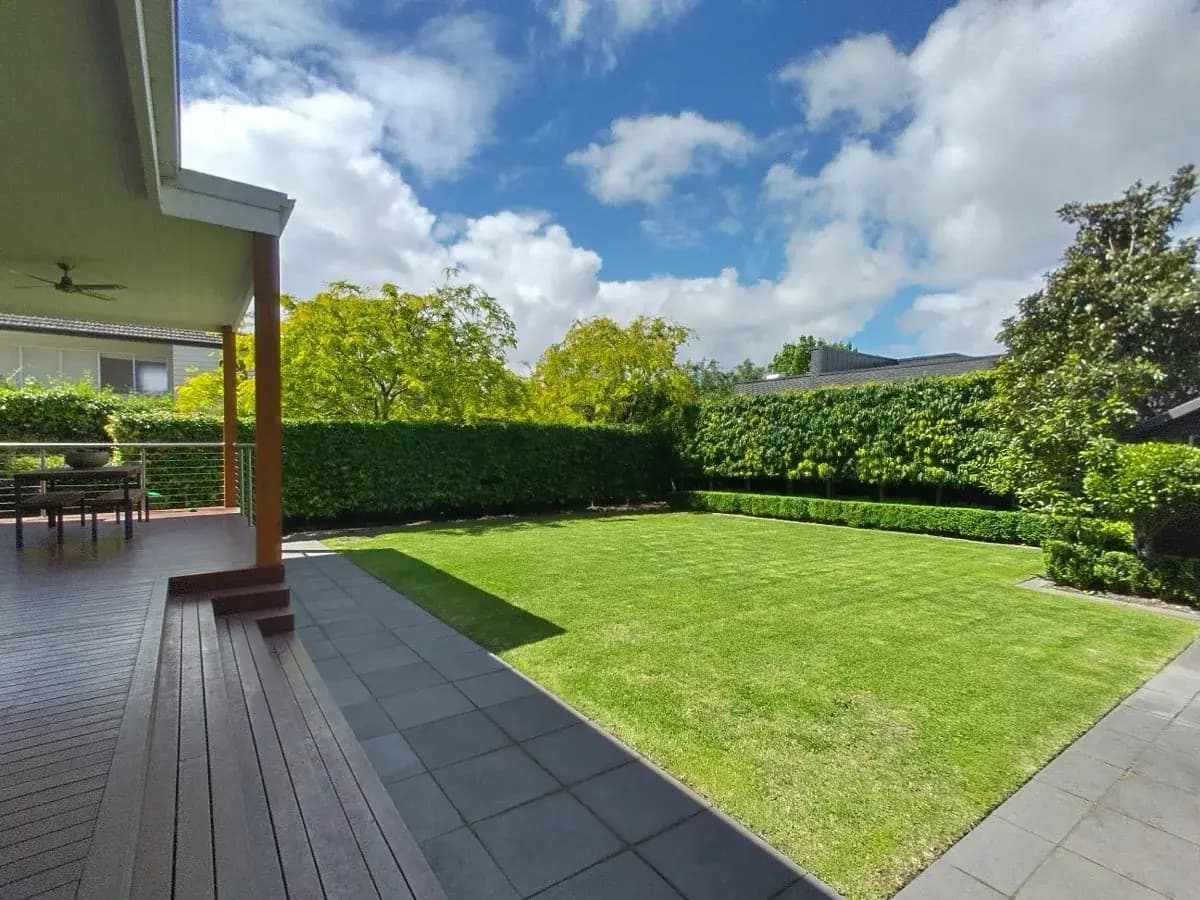 Immaculate striped lawn with sculpted hedging maintained by ABS Horticulture
