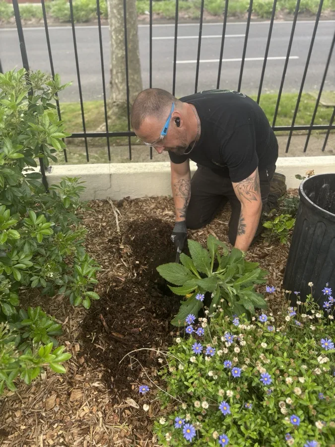 ABS Horticulture team performing an Initial Clean Up on a Melbourne garden