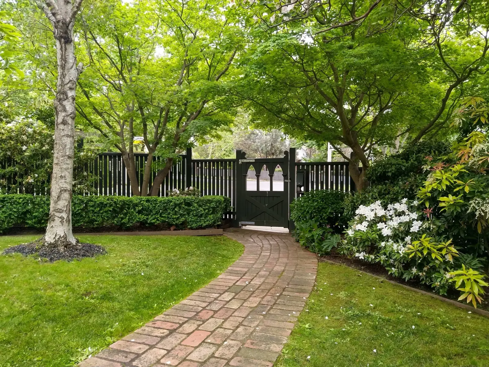 Lush garden pathway through green canopy maintained by ABS Horticulture in Melbourne's eastern suburbs